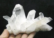 523g Clear Natural Beautiful White QUARTZ Crystal Cluster Specimen