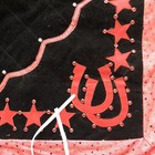 Bild 2 von 8