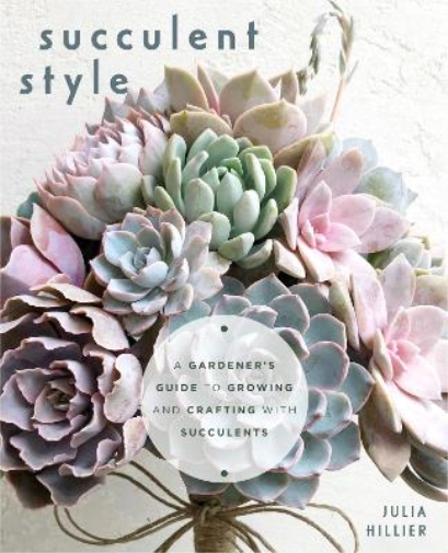 Julia Hillier Succulent Style (Tascabile)