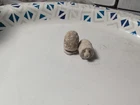 Dug Civil War era William Cleaner bullets
