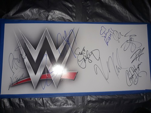 WWE Signed 24x12: Johnny Knoxville Ziggler Ricochet Sheamus McIntyre 10 total! - Picture 3 of 4