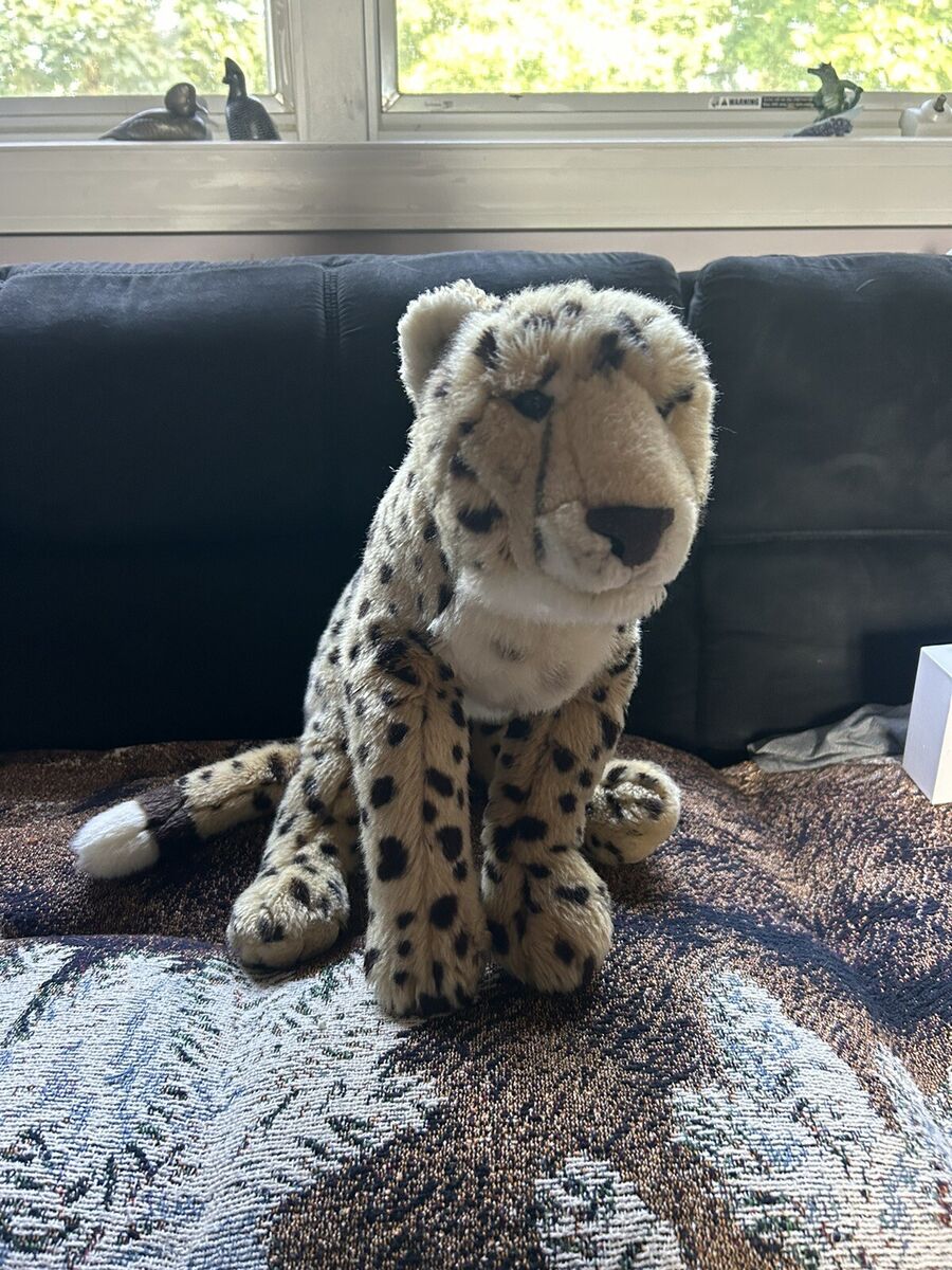 Fao cheetah hotsell