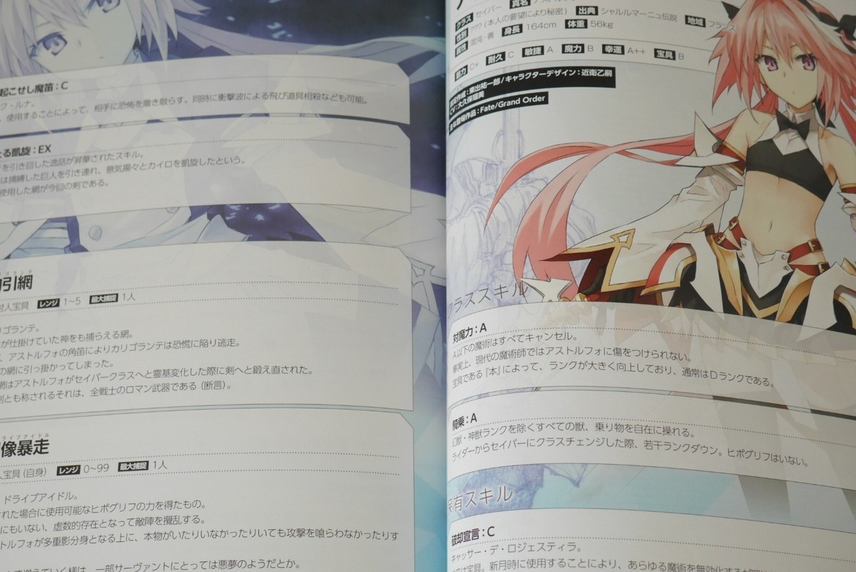 Type-Moon: Fate/Grand Order Material X (FGO Book) from JAPAN | eBay