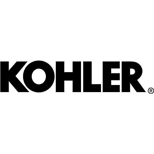 GENUINE OEM KOHLER PART # 17 853 39-S; CARBURETOR KIT - Foto 2