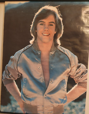 shaunページ SHAUN CASSIDY POSTER 1977 Vintage, Rare 20X28 HARDY BOYS | eBay