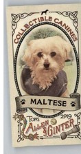 2019 ALLEN AND GINTER COLLECTIBLE CANINES MINI #CC-25 MALTESE BASEBALL