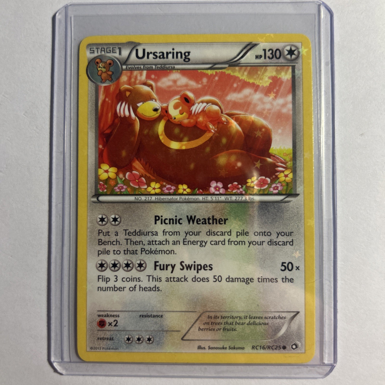 Ursaring RC16/RC25 Holo Legendary Treasures: Radiant Collection Pokemon NM