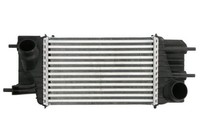 Thermotec LadeluftküHler DA1013TT Passend FüR Nissan