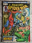 The Amazing Spider-Man #124 (Marvel Comics September 1973) VG/Fn