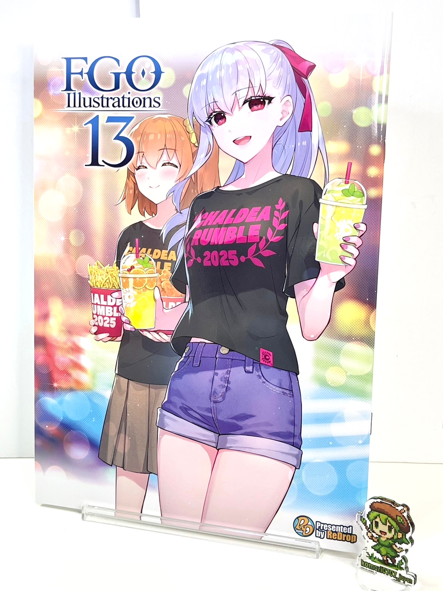 c107 redrop fate FGO Illustrations 13 art book A4/40p doujinshi