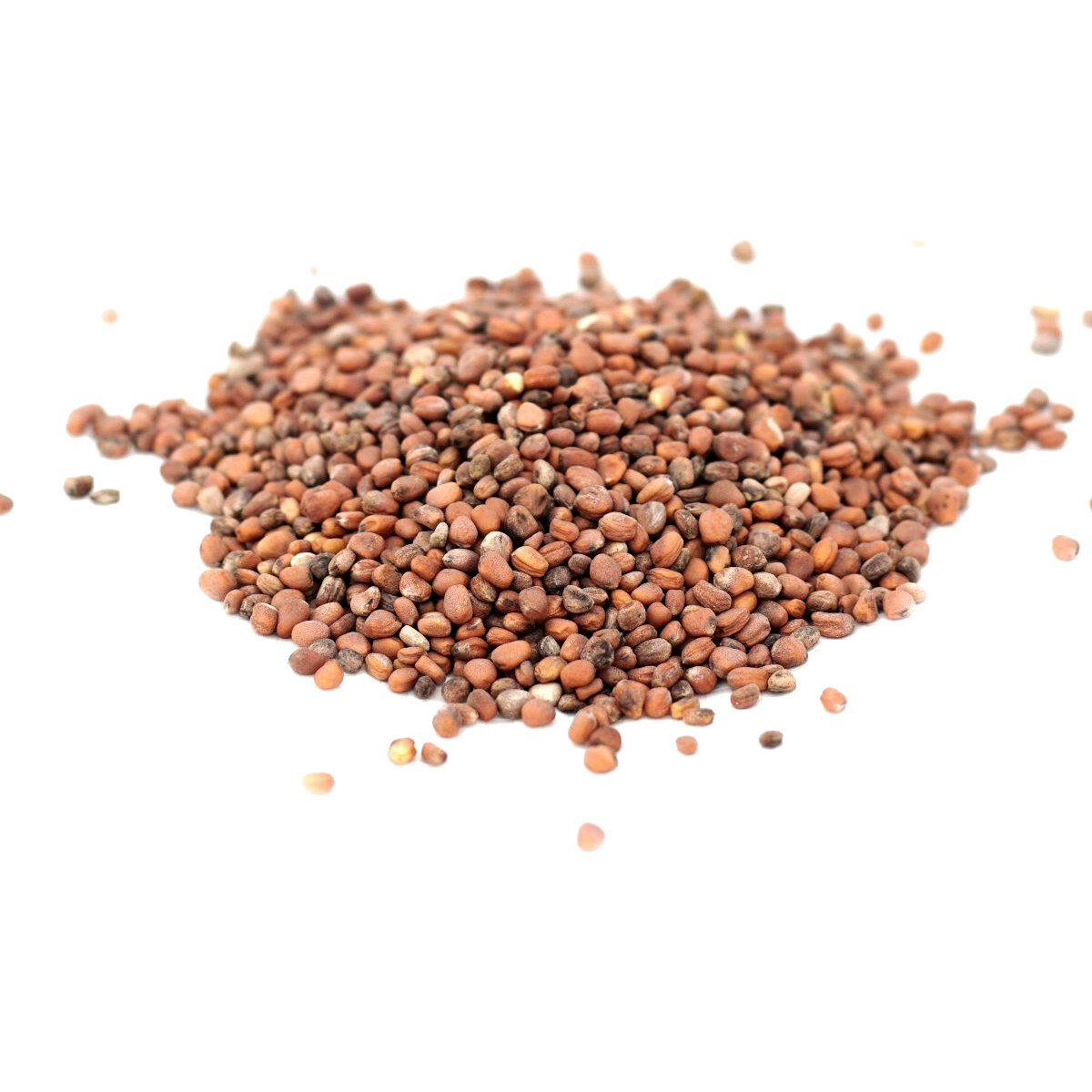 Organic Seeds for Sprouting Sprouts, Microgreens, Healthy Salad 24