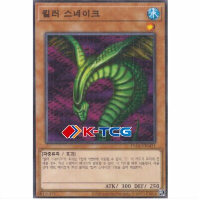 Yugioh Card 