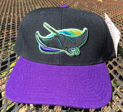 Vintage Tampa Bay Devil Rays Hat Snapback Cap Sports Specialties