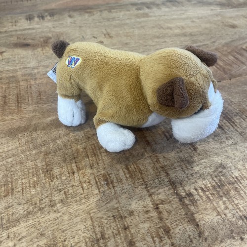 GANZ Webkinz Tan And White Bulldog 8" Plush Stuffed Animal Toy ~ No Code - Picture 3 of 10