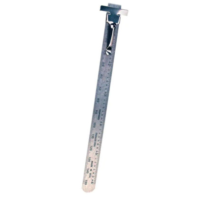 6 In. Pocket Ruler