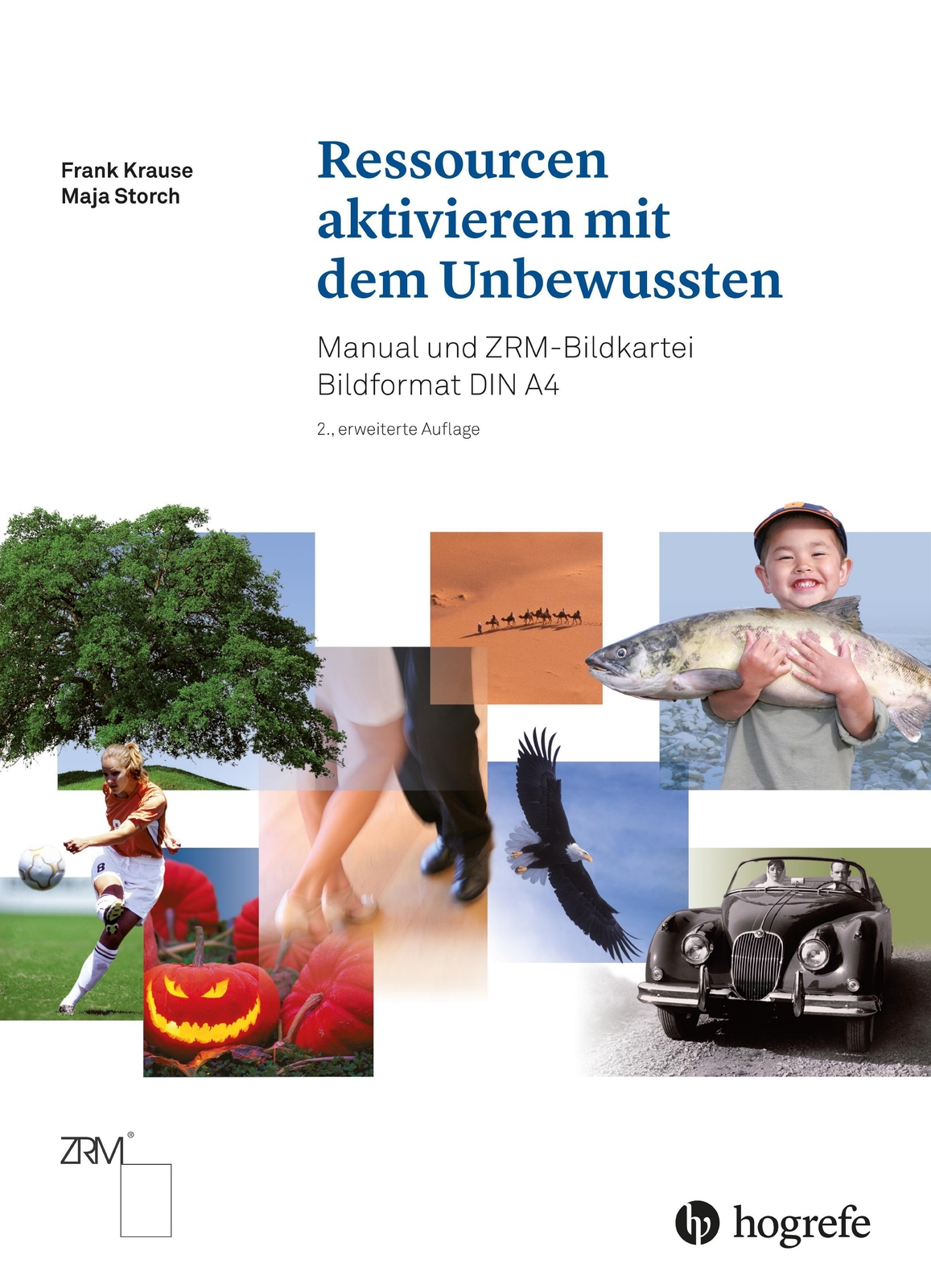 Thumbnail - Ressourcen Aktivieren Mit Dem Unbewussten Frank Krause