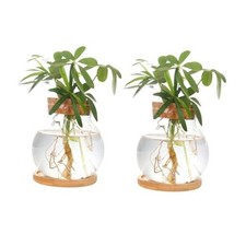 Plant Propagation Station,Hydroponic Glass Container Vase Jars, with Wooden 2