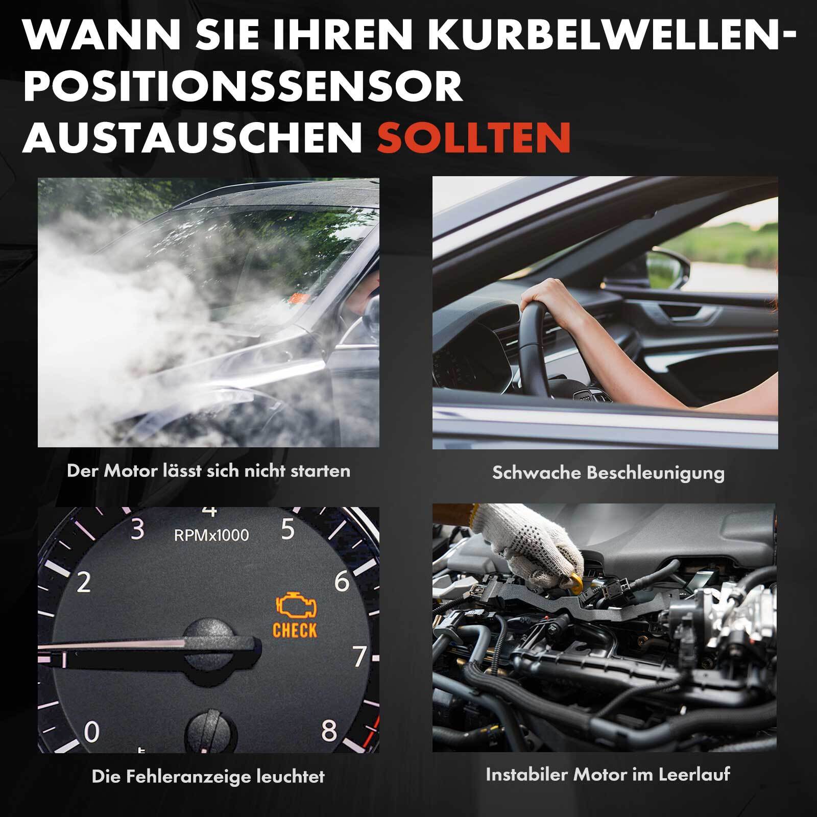 Bild 8 von 8