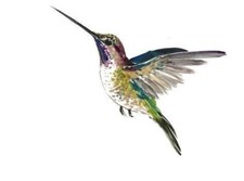 SHIP FROM NY - Temporary Tattoo - Set of 2 Hummingbird 2" each 