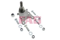 Schaeffler FAG 825 0115 10 Trag-/FüHrungsgelenk Passend FüR Isuzu Lexus Opel