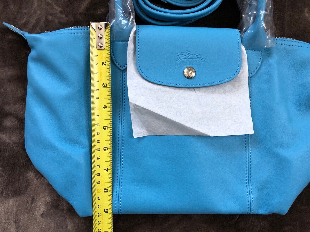 バッグ kny26326#144 LONGCHAMP LE PLIAGE CUIR Longchamp Le