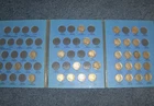 COLLECTION LOT OF 30 DIFFERENT U.S. BUFFALO INDIAN NICKELS! NICE RARE 5c COINS