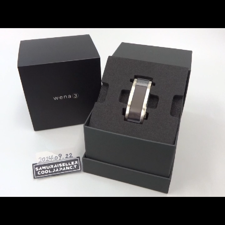 SONY Wena Wrist Pro WB-11A/S Premium Silver Hybrid Smart Watch
