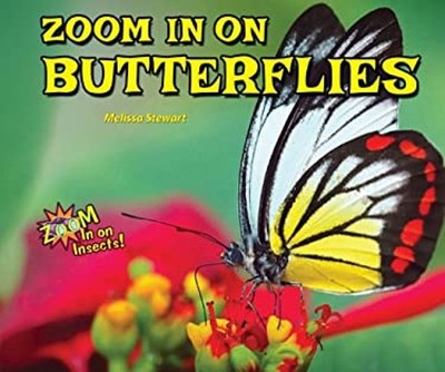 Zoom in on Butterflies Hardcover Melissa Stewart