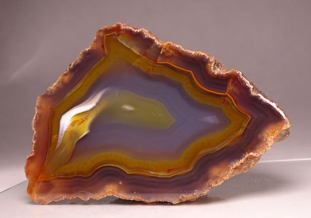 【コレクターズアイテム】コンドルアゲート Condor Agate for sale | eBay