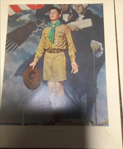 Lotto memorabilia boy scout vintage stampe BSA coppe normanne calze camicia libri pino - Foto 13 di 24