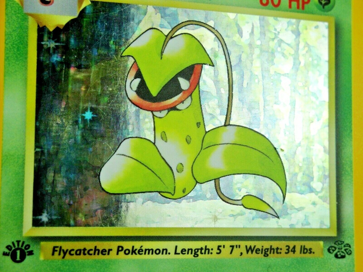 📈HOLO 1ST EDITION VICTREEBEL🌀 | First Pokémon | 3 Cards 📈HOLO 1ST EDITION VICTREEBEL🌀 | First Pokémon | 3 Cards