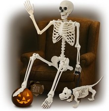 2er Set Halloween Skelett mit Hund & Leine le...