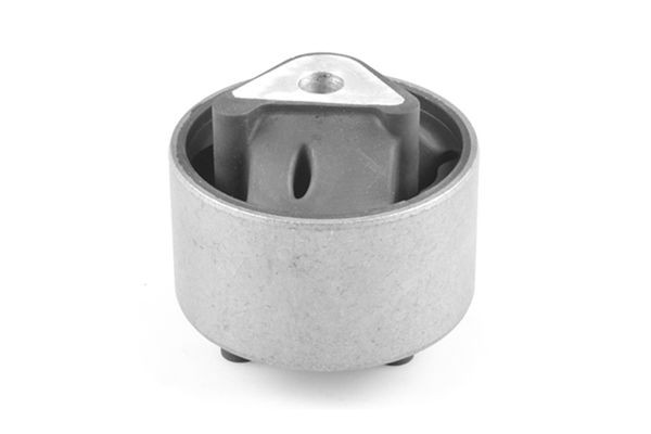 Tedgum Lagerung, Motor TED79463 FüR Jeep-image