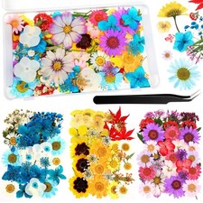 110 Pcs Dried Pressed Flowers for Resin, Real Dry Daisy Flowers and Leaves Bu...
