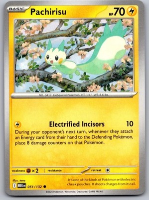 Pachirisu 051/132 C Mega Evolution Pokemon NM