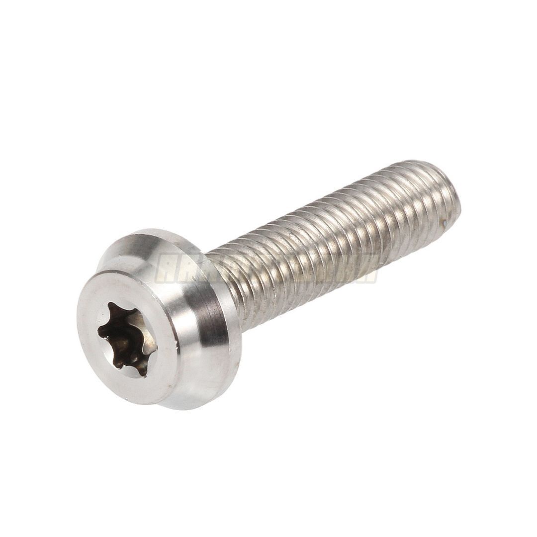 Motorcycle Bolt Screw Fits BMW official vehicles w/Case painted w
