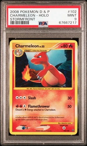 Pokemon Charmeleon Holo Stormfront 102/100 PSA 9 Mint