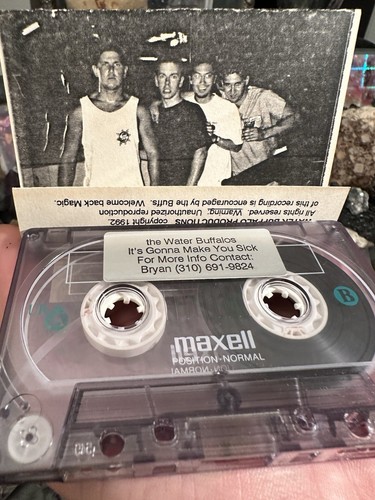 1992 THE WATER BUFFALOS IT’S GONNA MAKE YOU SICK DEMO ROCK LOS ANGELAS CA - Picture 3 of 6