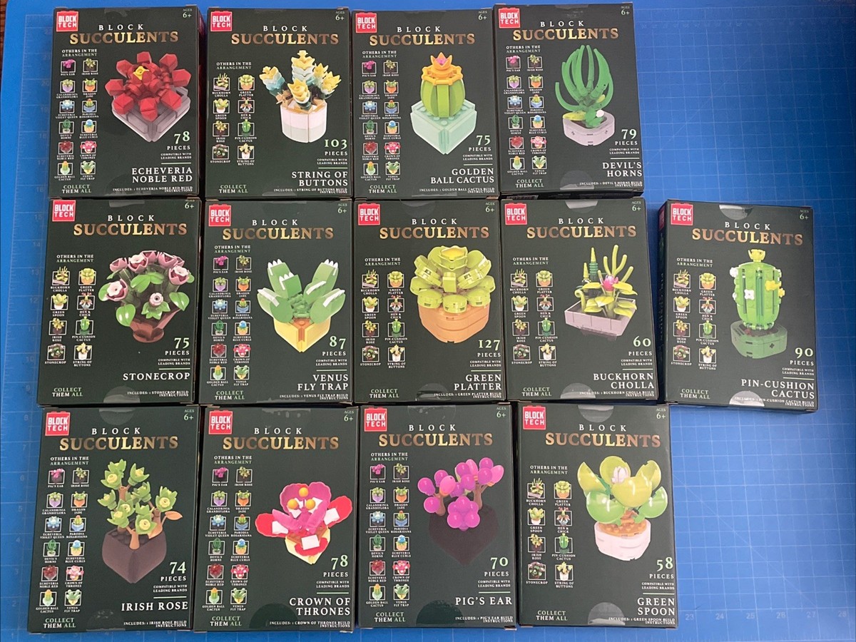 Block Tech Block Succulents Lot Of 13 New In Box | eBay