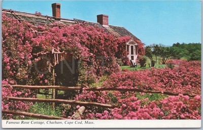 Chatham Vintage Postkarte berühmtes Rosenhaus Cape Cod USA künstlerisch