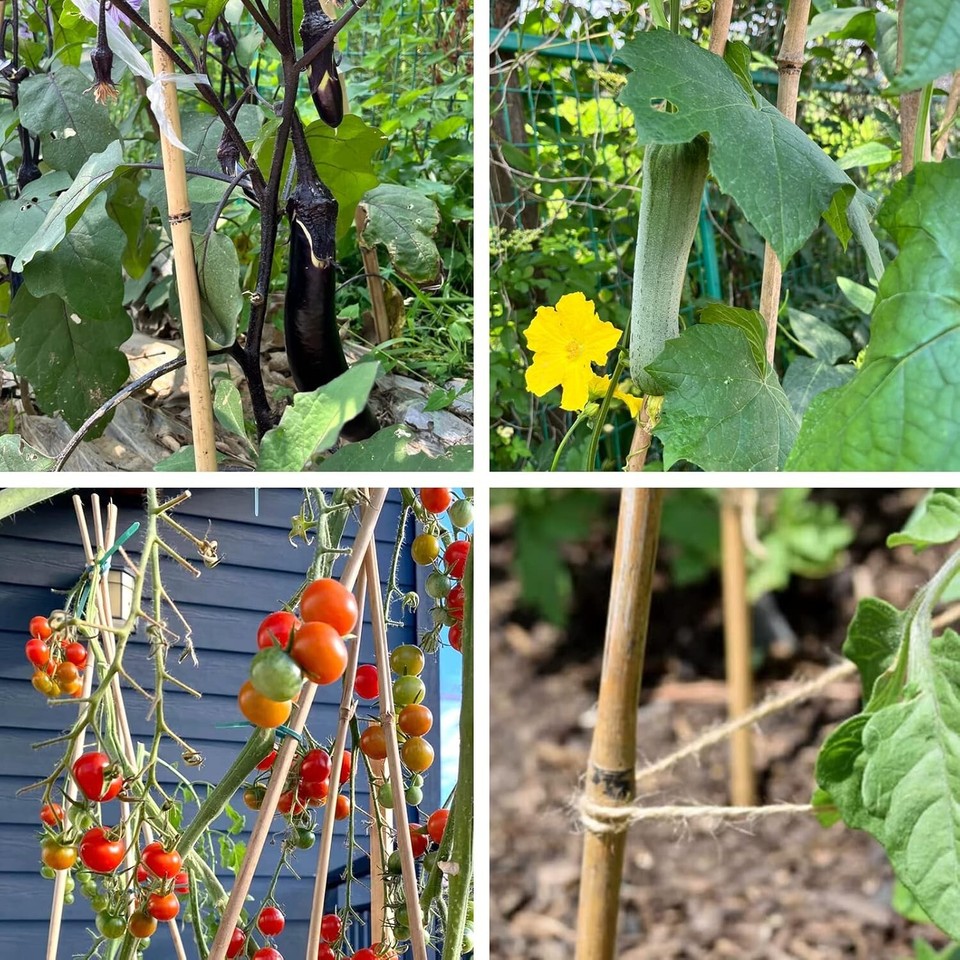 Bamboo Stakes for Plants Natural Bamboo Plants Stakes 5 Feet for