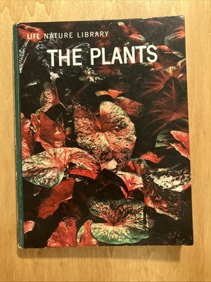 The Plants By Frits Went 1963