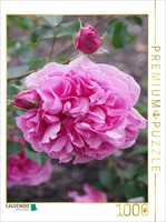 "Calvendo Puzzle Rosa \"Warwick Castle\" | 1000 Pieces, Finished Size 25.2 × 18.9 I"