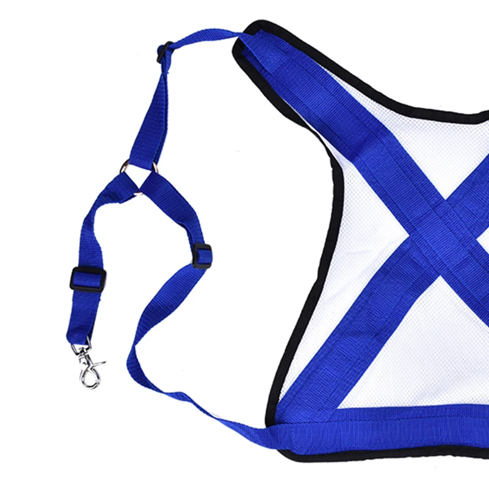 Practical Blue White PVC Fishing Vest Harness Adjustable Anglers Equipment - Image 4 of 4