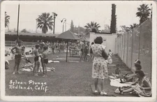 RPPC Sylvan Plunge Pool Palm Tree Redlands California 1948 photo postcard MP2