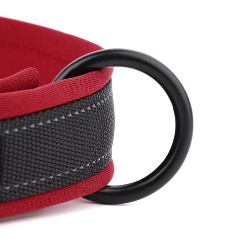 Nylon Personalised Dog Collar Custom Name Phone Number Adjustable Pet Collars - Picture 57 of 84