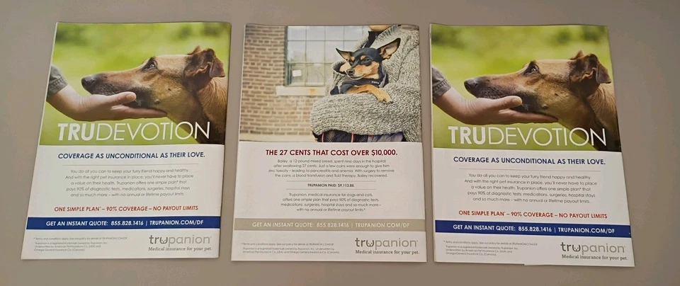 Lot of 3 Dog Fancy magazine (1) 2014 (2) 2015 Foto 3 de 3