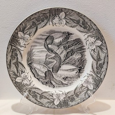 Very Rare Audubon Canvas Back Adams Of England ''Birds of America'' Vintage Plate 