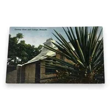 Postcard Century Plant and Cottage Bermuda Linen Card C238
