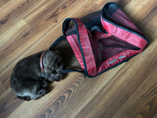 PERFECT PETZZZ CHOCOLATE LAB PUPPY SLEEPING PLUSH  Breathing Works with Carrier